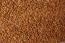 Chick Peas